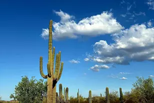 1523 S Warren Rd, Maricopa, AZ 85139 - Photo 3