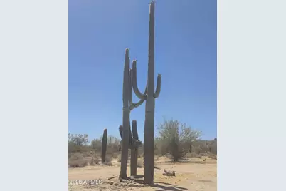 1523 S Warren Road, Maricopa, AZ 85139 - Photo 3