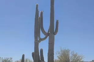 1523 S Warren Rd, Maricopa, AZ 85139 - Photo 3