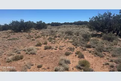 Lot 261 Woodridge Ranch -- #261, Saint Johns, AZ 85936 - Photo 3