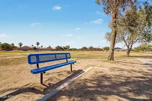 2986 W Dancer Ln, San Tan Valley, AZ 85144 - Photo 35