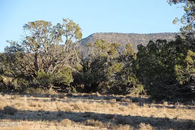 Wrangler R Wrangler Ridge Rd -- #301118203, Seligman, AZ 86337 - Photo 3