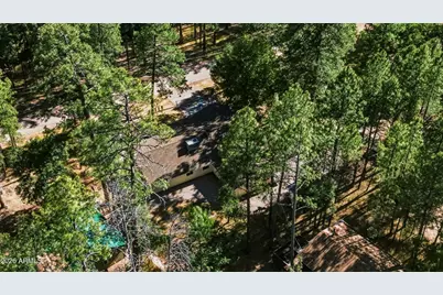 8438 W Lufkin Drive, Pine, AZ 85544 - Photo 47
