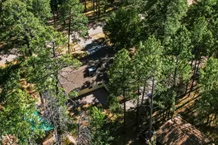 8438 W Lufkin Dr, Pine, AZ 85544 - Photo 47