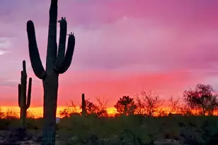 30920 N Sunrise Ranch Rd, Cave Creek, AZ 85331 - Photo 51