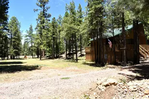 2509 Deer Ridge Dr, Happy Jack, AZ 86024 - Photo 3