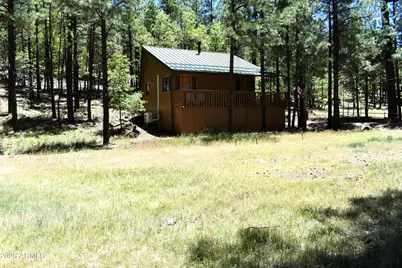 2509 Deer Ridge Drive, Happy Jack, AZ 86024 - Photo 1