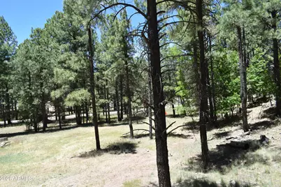 2509 Deer Ridge Drive, Happy Jack, AZ 86024 - Photo 39