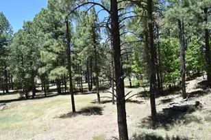 2509 Deer Ridge Dr, Happy Jack, AZ 86024 - Photo 39