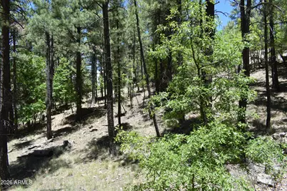 2509 Deer Ridge Drive, Happy Jack, AZ 86024 - Photo 37