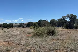 8394 Silver Creek Dr, Show Low, AZ 85901 - Photo 1