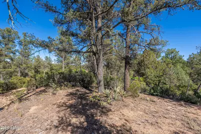 506 S Primeval -- #79, Payson, AZ 85541 - Photo 37