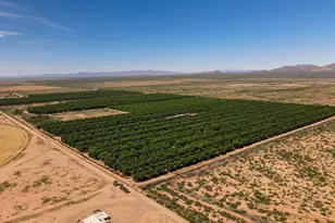 4972 W Gleeson Rd, Elfrida, AZ 85610 - Photo 1