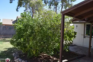 2320 W Waltann Ln, Phoenix, AZ 85023 - Photo 23