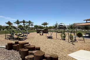 3824 E Fiesta Flower Ln, San Tan Valley, AZ 85140 - Photo 59