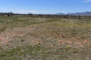 334 E Cochise Way, Cochise, AZ 85606 - Photo 39