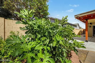 5002 E Blanche Drive, Scottsdale, AZ 85254 - Photo 47