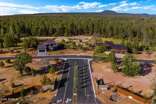 3449 NE Bear Mountain Dr Dr E, Pinetop-Lakeside, AZ 85929 - Photo 65