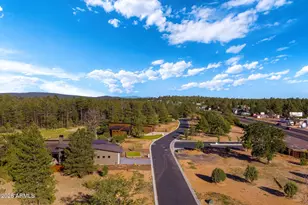 3449 NE Bear Mountain Dr Dr E, Pinetop-Lakeside, AZ 85929 - Photo 67