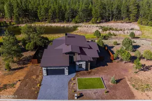3449 NE Bear Mountain Dr Dr E, Pinetop-Lakeside, AZ 85929 - Photo 51