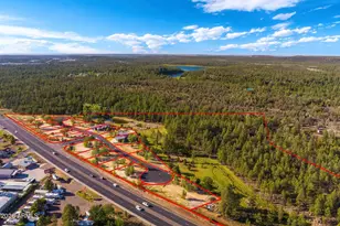 3449 NE Bear Mountain Dr Dr E, Pinetop-Lakeside, AZ 85929 - Photo 73