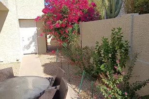 11059 E Yucca St, Scottsdale, AZ 85259 - Photo 23