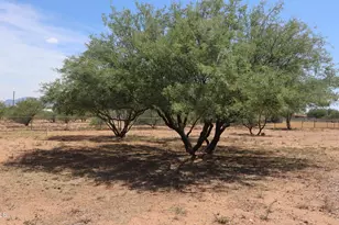 556 E Camino De Tundra, Huachuca City, AZ 85616 - Photo 19