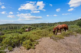 512 491 & 539 Fieldy Rd, Show Low, AZ 85901 - Photo 193
