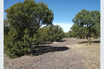 4 County Rd 8058 -- #-, Concho, AZ 85924 - Photo 7