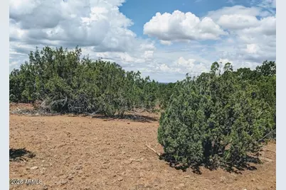 4 County Rd 8058 -- #-, Concho, AZ 85924 - Photo 9