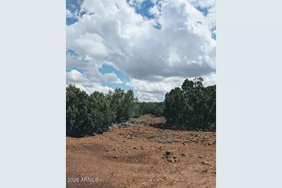 4 County Rd 8058 -- #-, Concho, AZ 85924 - Photo 11