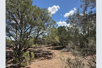 1885 Daggs Street #38, Show Low, AZ 85901 - Photo 3