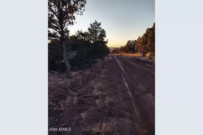 33 County Rd N3319 -- #-, Vernon, AZ 85940 - Photo 5