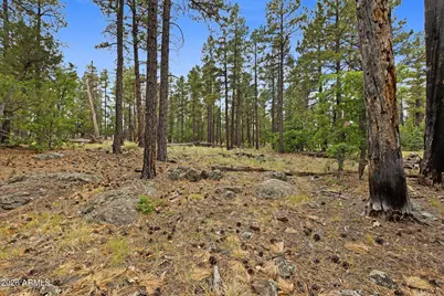 1628 Canyon View Loop #27, Williams, AZ 86046 - Photo 53