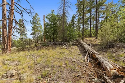 1628 Canyon View Loop #27, Williams, AZ 86046 - Photo 25