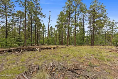 1628 Canyon View Loop #27, Williams, AZ 86046 - Photo 45