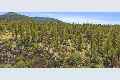1628 Canyon View Loop #27, Williams, AZ 86046 - Photo 37