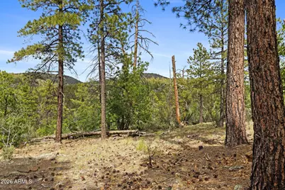 1628 Canyon View Loop #27, Williams, AZ 86046 - Photo 49