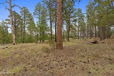 1628 Canyon View Loop #27, Williams, AZ 86046 - Photo 43