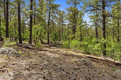 1628 Canyon View Loop #27, Williams, AZ 86046 - Photo 23