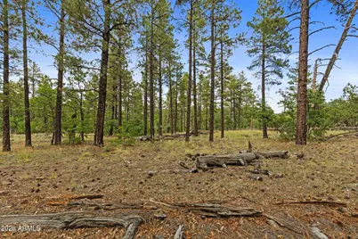 1628 Canyon View Loop #27, Williams, AZ 86046 - Photo 17