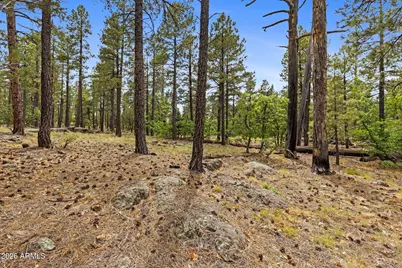 1628 Canyon View Loop #27, Williams, AZ 86046 - Photo 47