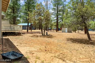 3316 Ox Bow Bend, Overgaard, AZ 85933 - Photo 29