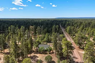 2631 Velvet Antler Trail, Happy Jack, AZ 86024 - Photo 33
