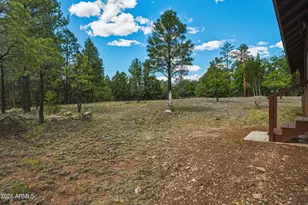 2631 Velvet Antler Trail, Happy Jack, AZ 86024 - Photo 17