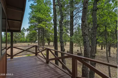 2631 Velvet Antler Trail, Happy Jack, AZ 86024 - Photo 25