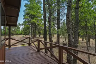 2631 Velvet Antler Trail, Happy Jack, AZ 86024 - Photo 25