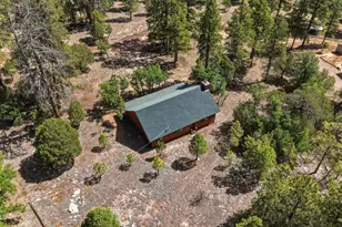 2631 Velvet Antler Trail, Happy Jack, AZ 86024 - Photo 29
