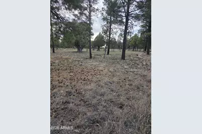 2584 Arapaho Drive #600, Happy Jack, AZ 86024 - Photo 1