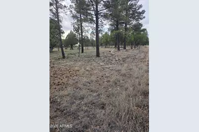 2584 Arapaho Drive #600, Happy Jack, AZ 86024 - Photo 5